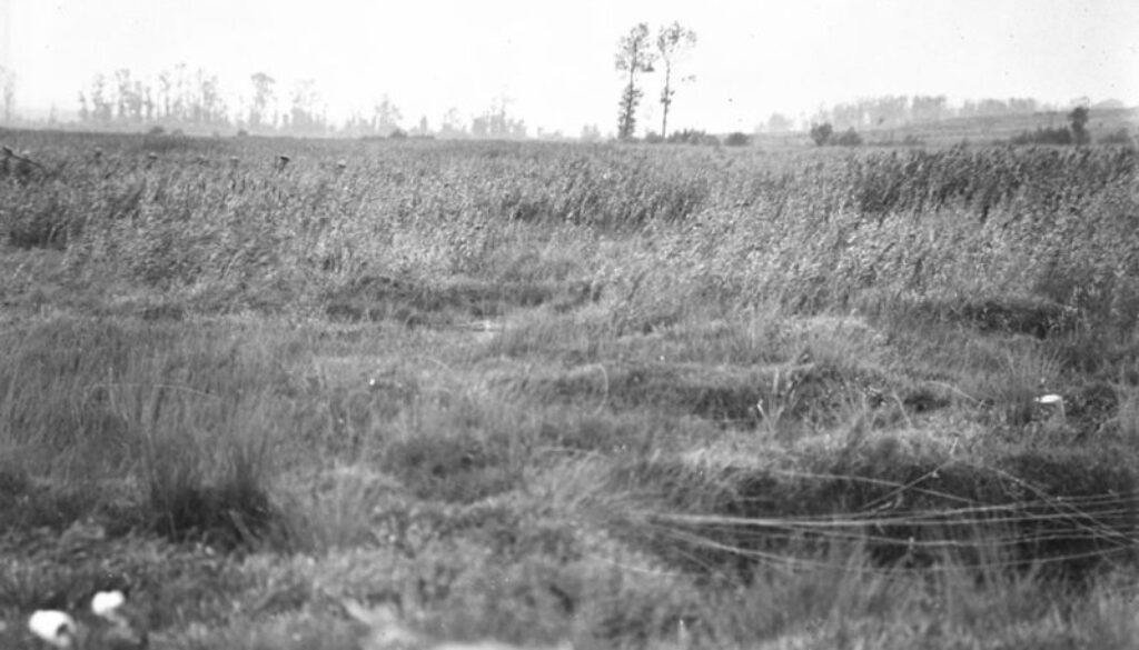 78_Canadians advancing through swamps near River Sensee. Advance East of Arras. August, 1918